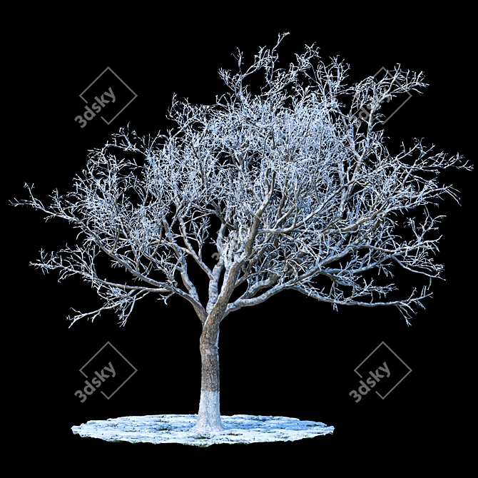 Snowy Winter Apple Tree 3D model image 1