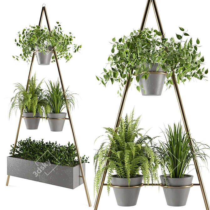 Green Oasis Indoor Plants Set 3D model image 2