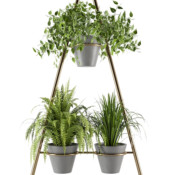 Green Oasis Indoor Plants Set 3D model image 4