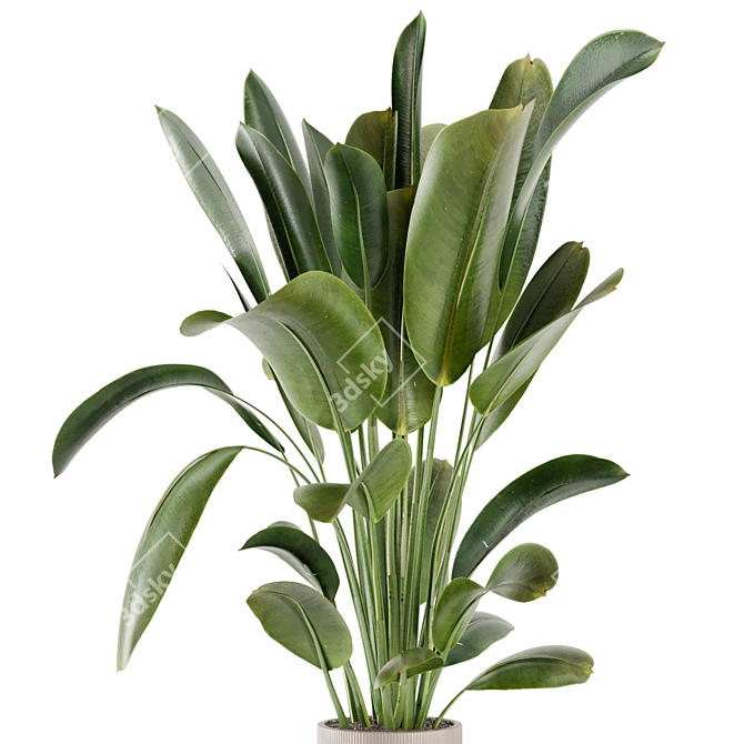 Ferm Living Bau Pot Large - Set 378: Stylish Indoor Plants 3D model image 4