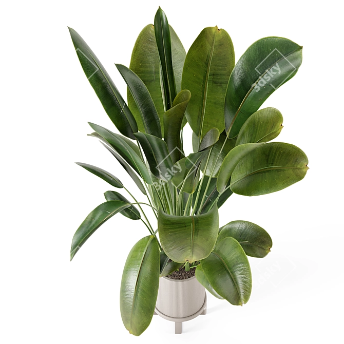 Ferm Living Bau Pot Large - Set 378: Stylish Indoor Plants 3D model image 6