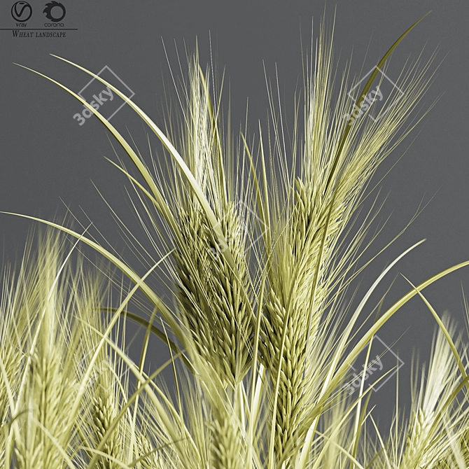 Wheat Fields 3D Model 3D model image 3