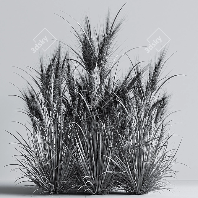 Wheat Fields 3D Model 3D model image 5