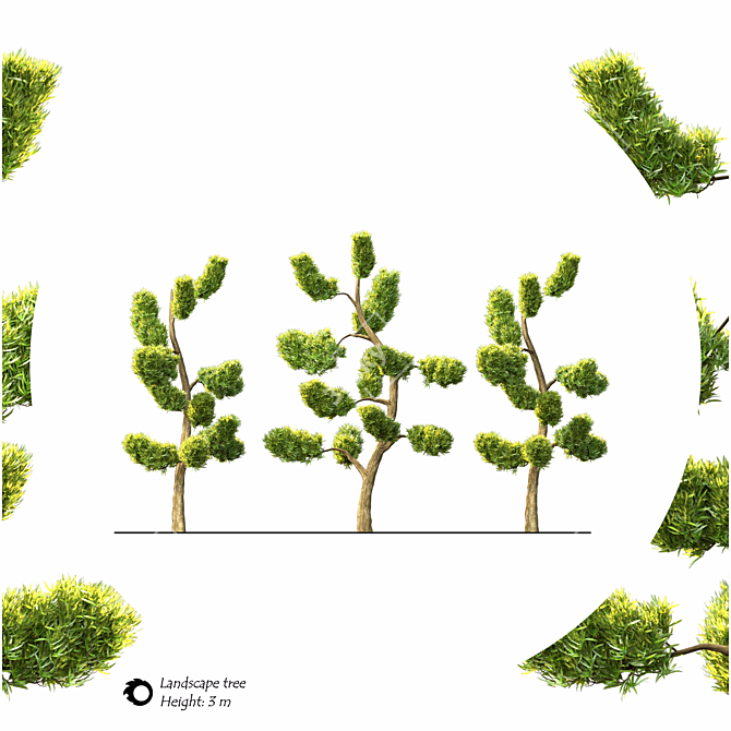 2014 Landscape Tree | 3m Height | 2,266,210 Polys | Corona Render 3D model image 2