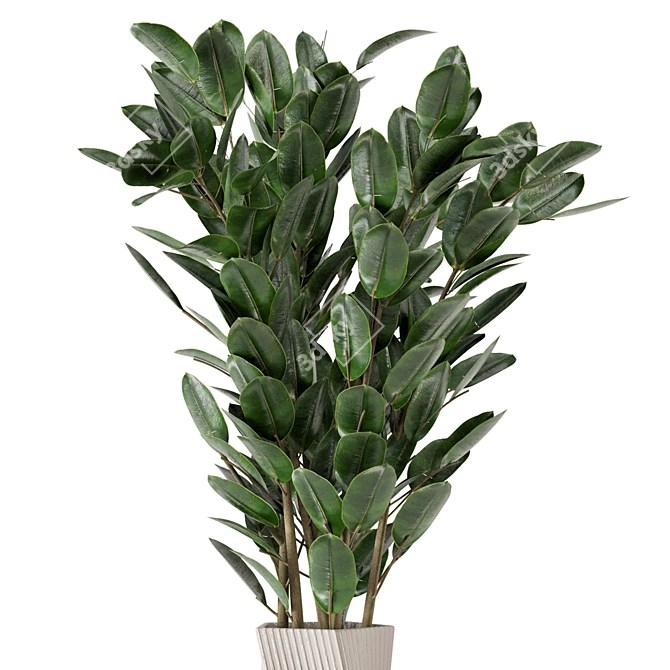 Carmen Terracotta Indoor Plants Set with Ficus 3D model image 2