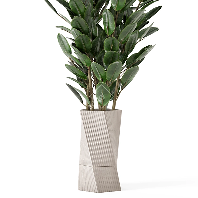 Carmen Terracotta Indoor Plants Set with Ficus 3D model image 3