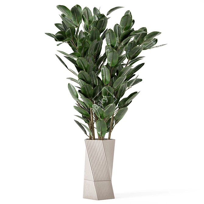 Carmen Terracotta Indoor Plants Set with Ficus 3D model image 4