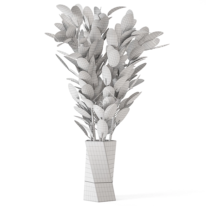 Carmen Terracotta Indoor Plants Set with Ficus 3D model image 5