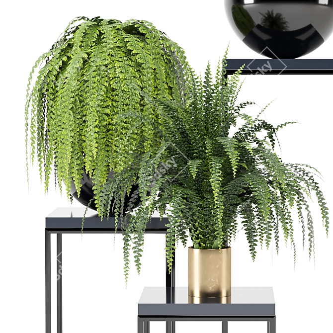 Ferm Living Bau Pot Large with Indoor Plants - Set 159 3D model image 3