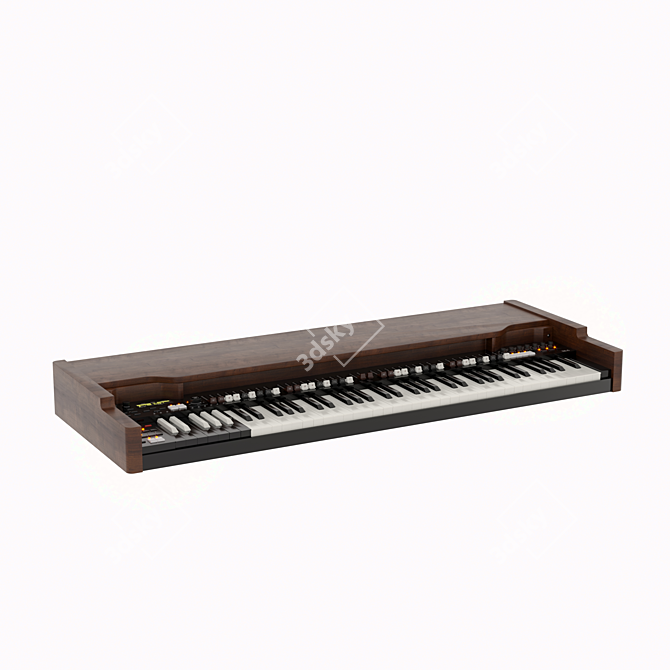 Wooden and Plastic Musical Instrument 3D model image 2