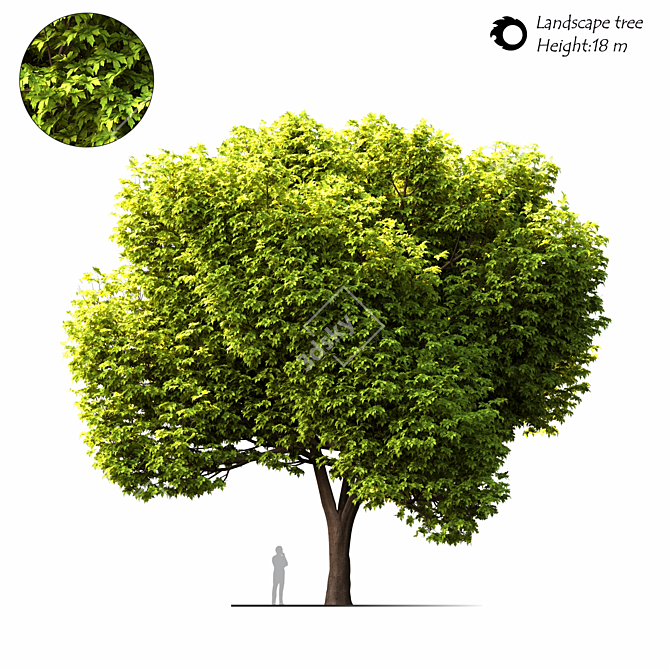 2014 Landscape Tree 18м 3D model image 1