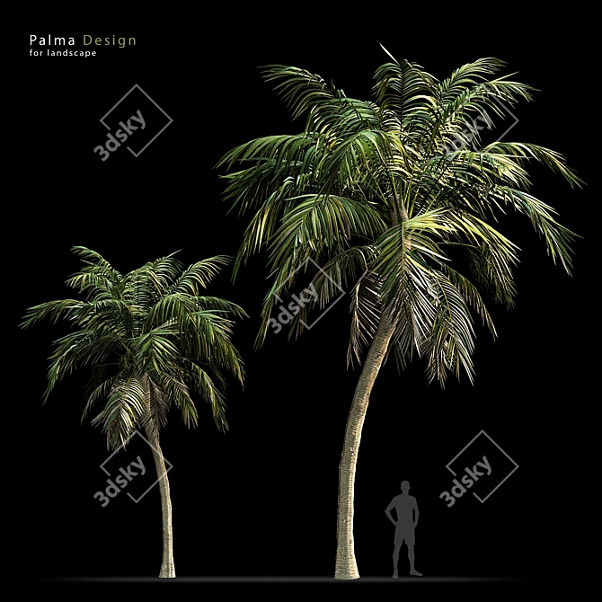 Tropical Paradise: Palm Wallpaper 3D model image 1