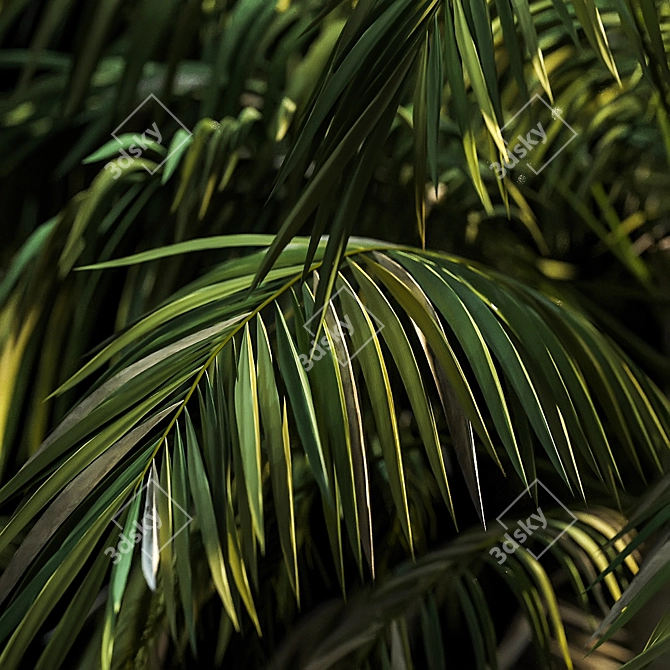 Tropical Paradise: Palm Wallpaper 3D model image 2