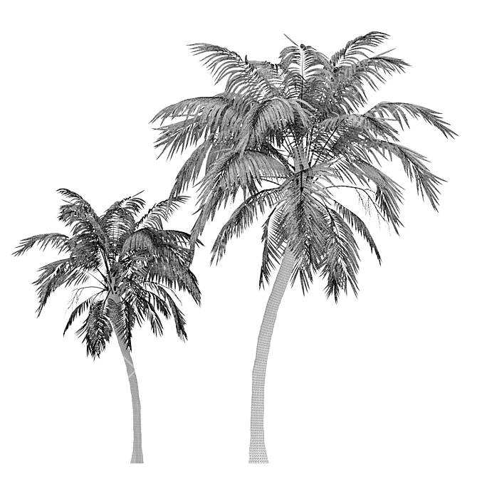 Tropical Paradise: Palm Wallpaper 3D model image 3