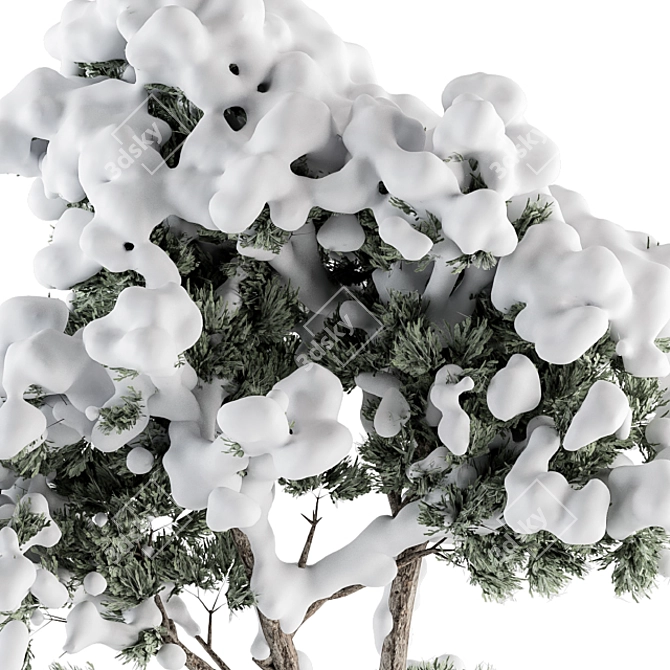 Snowy Plant Box Set: Outdoor Plants in a Winter Wonderland 3D model image 4