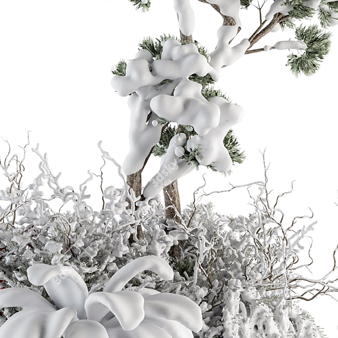 Snowy Plant Box Set: Outdoor Plants in a Winter Wonderland 3D model image 5