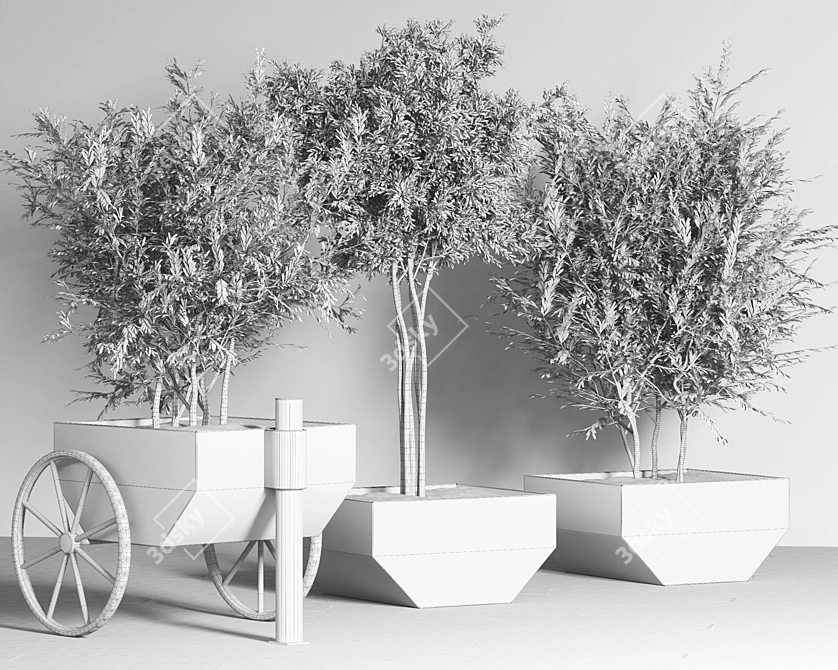 Indoor Plant Collection - 15 Varieties 3D model image 3