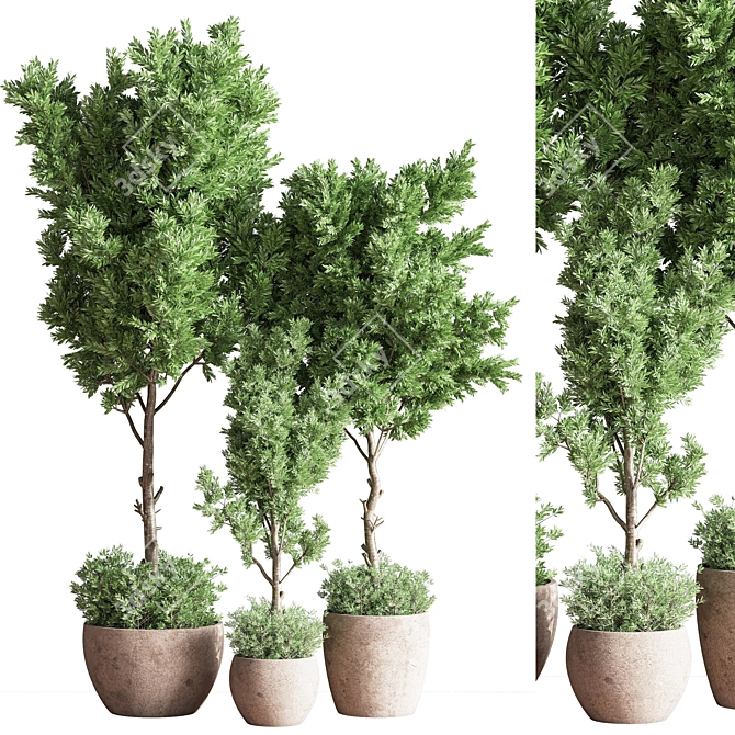 Versatile Indoor Plant Set 3D model image 1