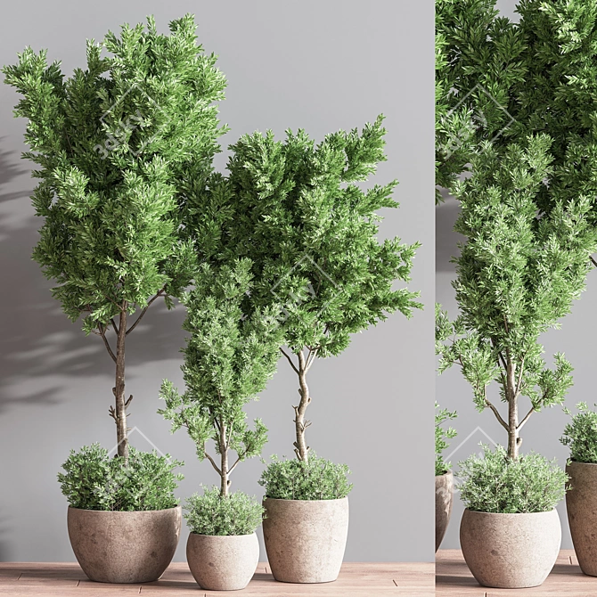 Versatile Indoor Plant Set 3D model image 2