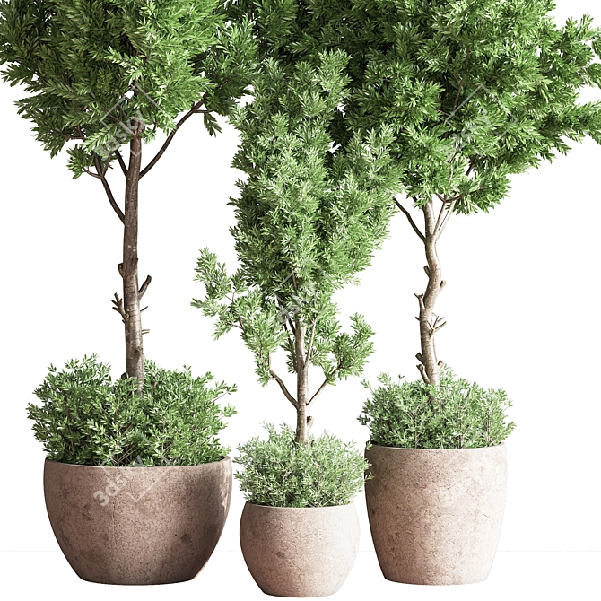 Versatile Indoor Plant Set 3D model image 3