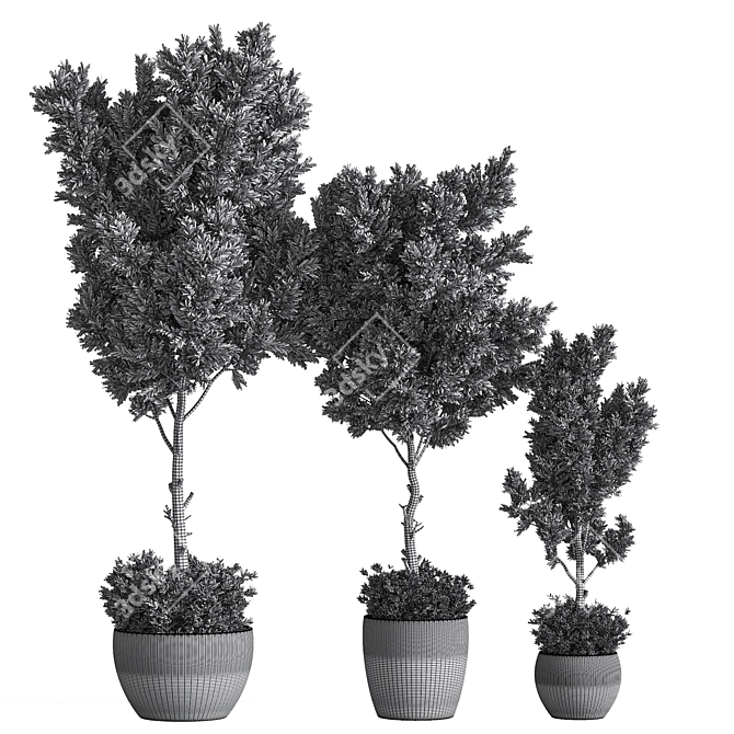 Versatile Indoor Plant Set 3D model image 6