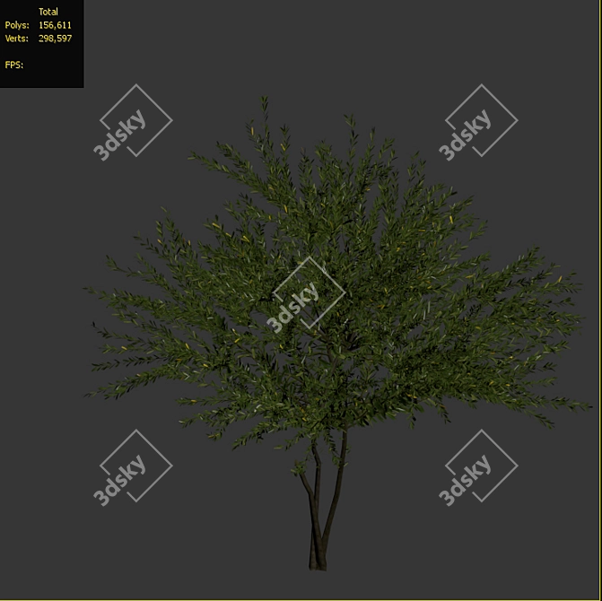 Everlasting Olive Tree 3D model image 4