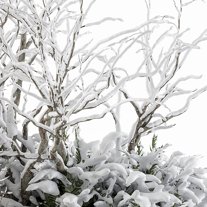 Snowy Mixed Plant Bush - Set of 59 3D model image 2