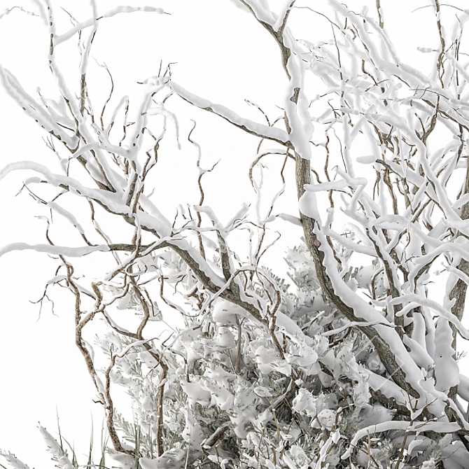 Snowy Mixed Plant Bush - Set of 59 3D model image 3