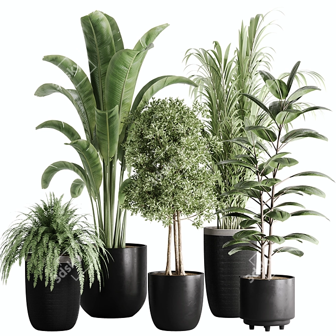 10-Piece Indoor Plant Set: V-Ray/Corona 2015 3D model image 1