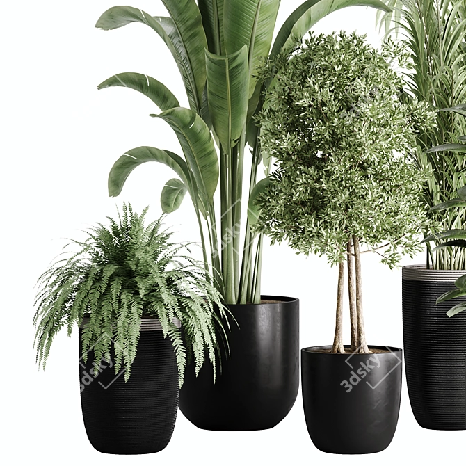 10-Piece Indoor Plant Set: V-Ray/Corona 2015 3D model image 2