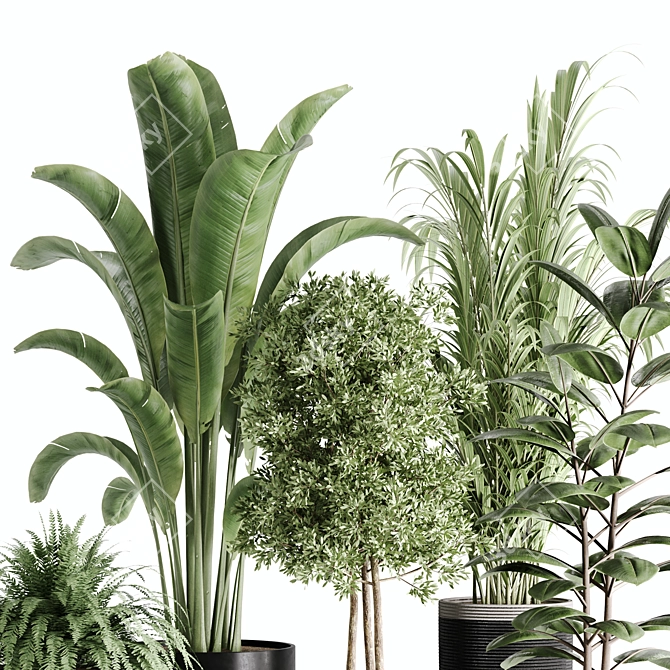 10-Piece Indoor Plant Set: V-Ray/Corona 2015 3D model image 4