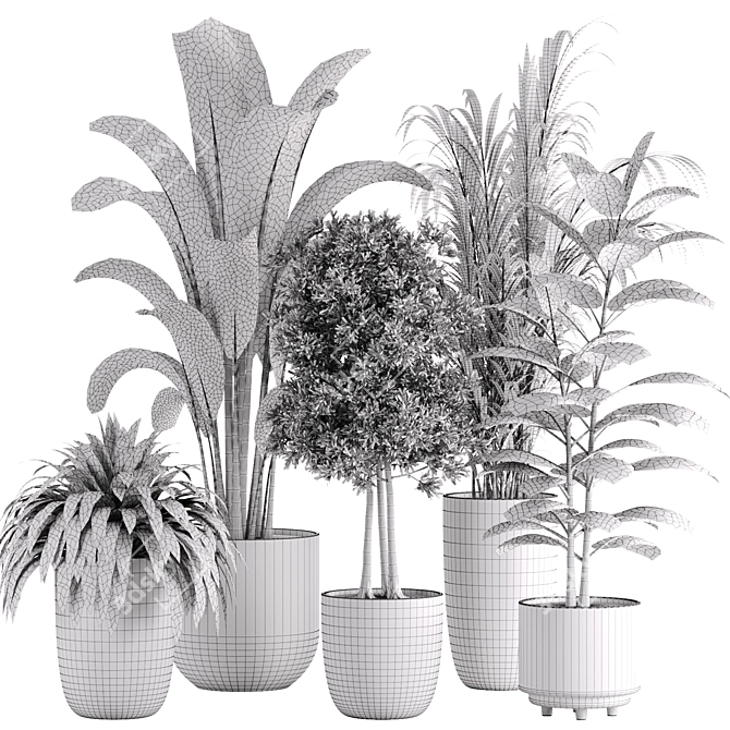 10-Piece Indoor Plant Set: V-Ray/Corona 2015 3D model image 5