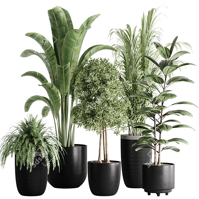 10-Piece Indoor Plant Set: V-Ray/Corona 2015 3D model image 6