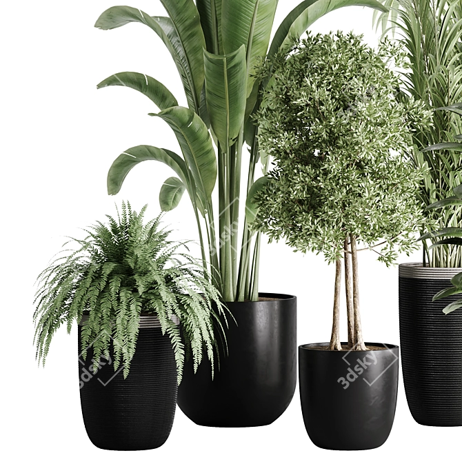 10-Piece Indoor Plant Set: V-Ray/Corona 2015 3D model image 7