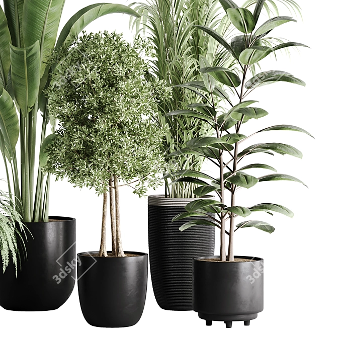 10-Piece Indoor Plant Set: V-Ray/Corona 2015 3D model image 8
