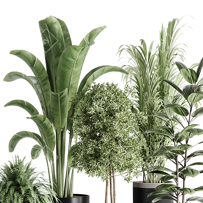 10-Piece Indoor Plant Set: V-Ray/Corona 2015 3D model image 9