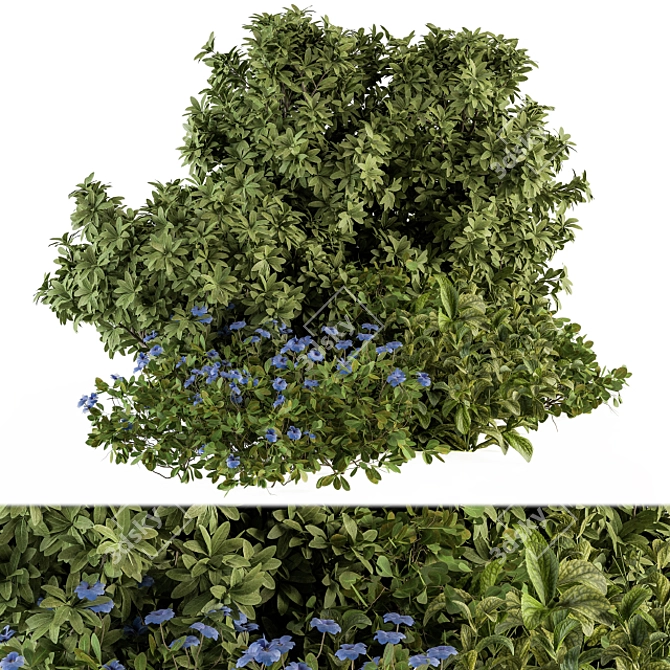 Blue Blooms Bush Set - 53 Varieties 3D model image 1