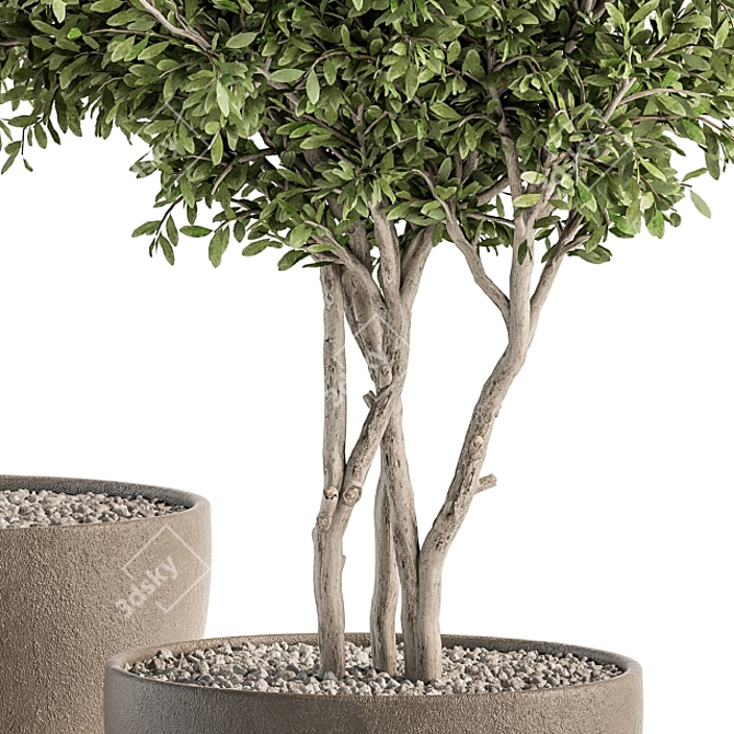 Concrete Pot Outdoor Plant Set 3D model image 2