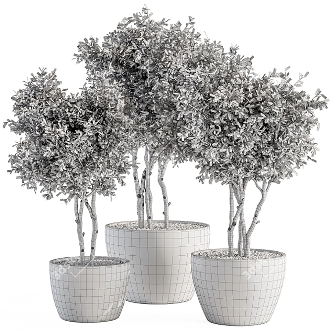 Concrete Pot Outdoor Plant Set 3D model image 5