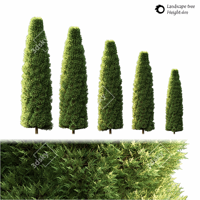 Natural Green Landscape Tree 3D model image 2