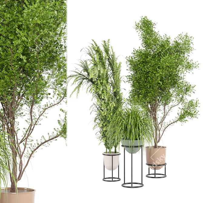 Ferm Living Bau Pot Large - Indoor Plants Set 3D model image 1