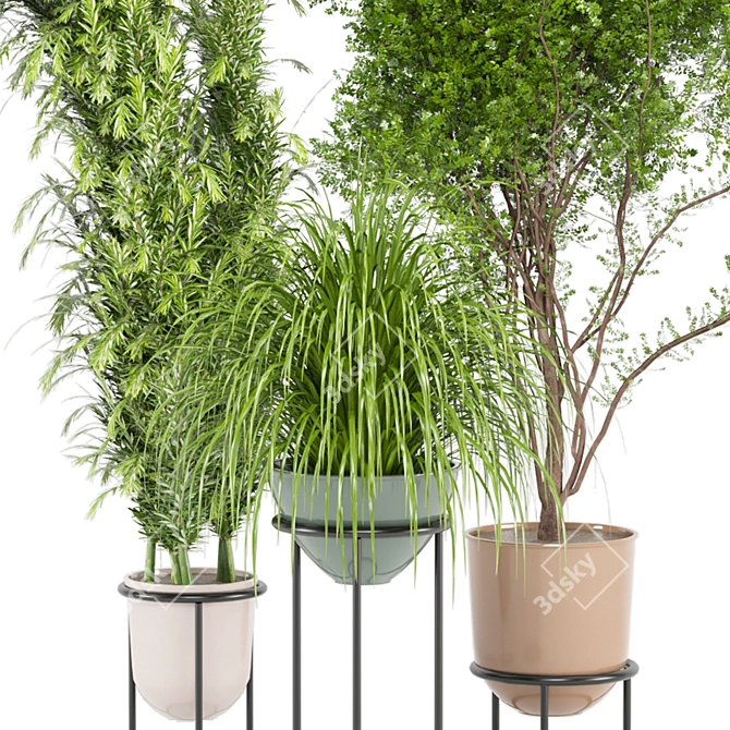 Ferm Living Bau Pot Large - Indoor Plants Set 3D model image 2