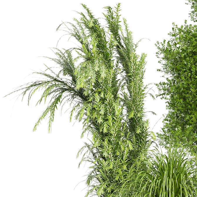 Ferm Living Bau Pot Large - Indoor Plants Set 3D model image 4