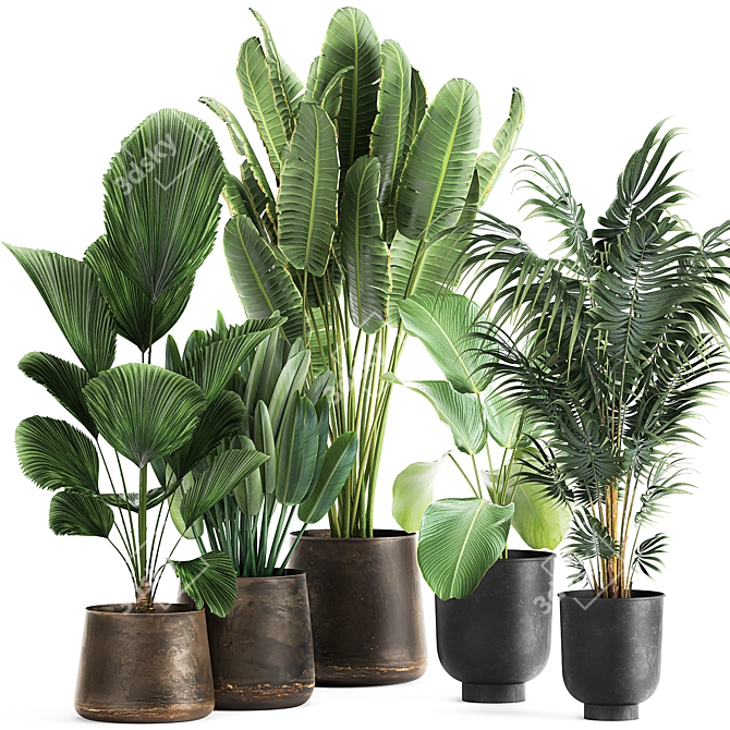 Tropical Plant Collection in Reclaimed Metal Pots 3D model image 1