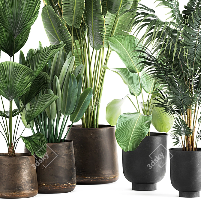 Tropical Plant Collection in Reclaimed Metal Pots 3D model image 2