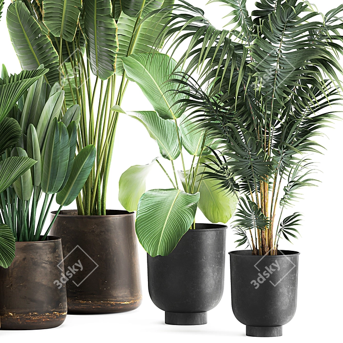 Tropical Plant Collection in Reclaimed Metal Pots 3D model image 4