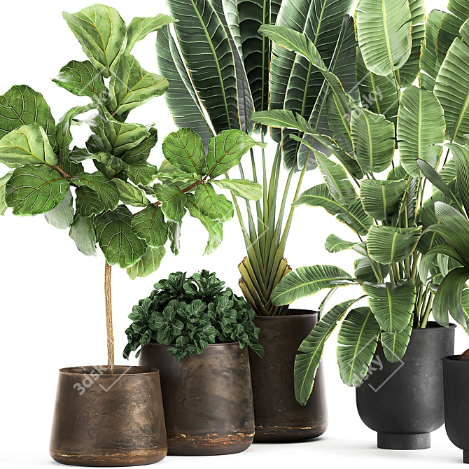 Tropical Plant Collection in Rustic Metal Pots 3D model image 2