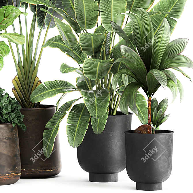 Tropical Plant Collection in Rustic Metal Pots 3D model image 5