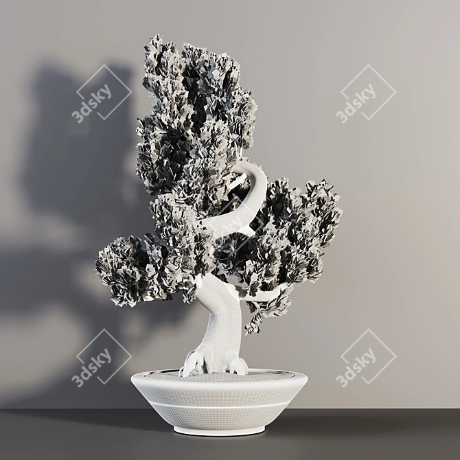 Realistic Bonsai Plant for Closeups 3D model image 6