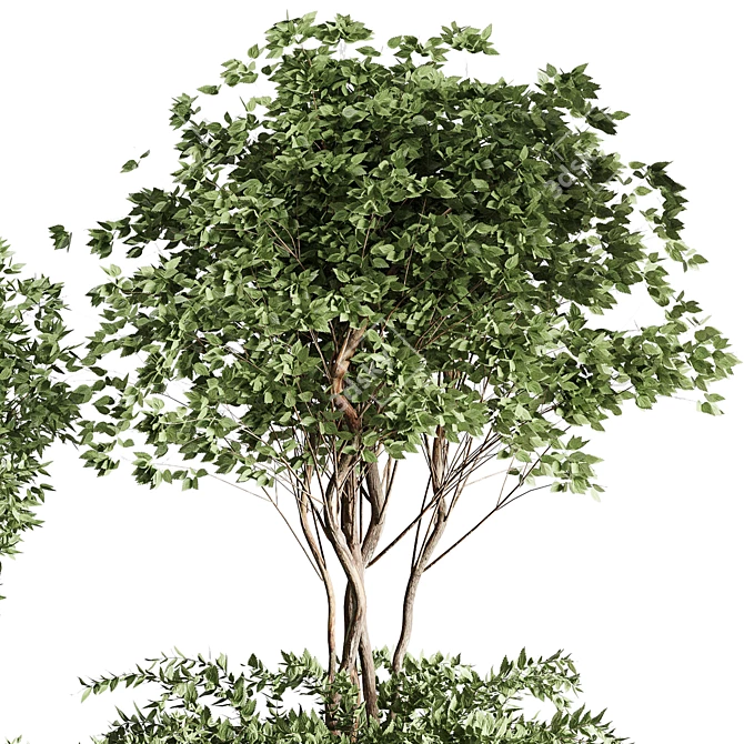 Metal Vase Collection: Tree Pots & Shrubs 3D model image 5